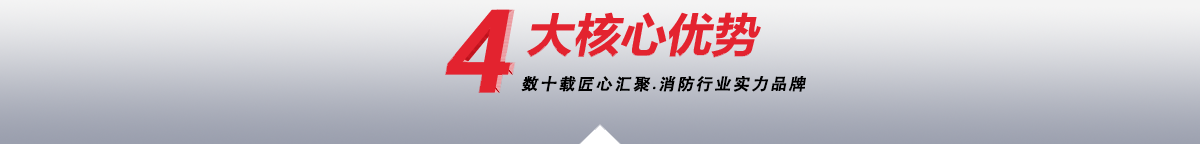 —4大加工核心優勢 —4大核心加工優勢